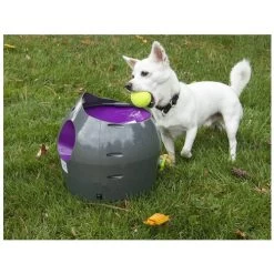 PetSafe Automatischer Ballwerfer -Hundebedarfsgeschäft product petsafe ball launcher none 4 1472637636 77140