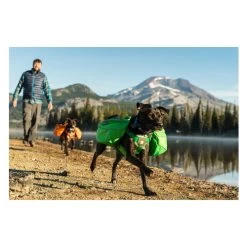 Ruffwear Approach Pack -Hundebedarfsgeschäft product ruffwear approach pack none 4 1489677652 84736