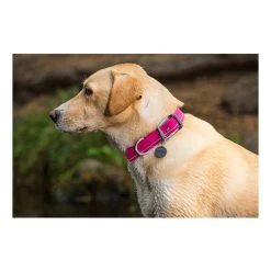 Ruffwear Headwater Collar -Hundebedarfsgeschäft product ruffwear headwater collar none 4 1487775433 83755