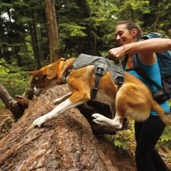 Ruffwear Webmaster Harness -Hundebedarfsgeschäft product ruffwear webmaster harness none 4 1471947180 76768