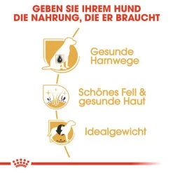 Royal Canin Bichon Frisé Adult - Hundefutter -Hundebedarfsgeschäft royal canin bichon fris adult hondenvoer 137371 0500 none