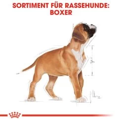 Royal Canin Boxer Puppy - Hundefutter -Hundebedarfsgeschäft royal canin boxer puppy hondenvoer 137491 0500 none