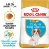 Royal Canin Cavalier King Charles Puppy - Hundefutter -Hundebedarfsgeschäft royal canin cavalier king charles puppy hondenvoer 142808 0500 none