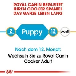 Royal Canin Cocker Puppy - Hundefutter 13 Royal Canin Cocker Puppy - Hundefutter -Hundebedarfsgeschäft royal canin cocker puppy hondenvoer 138199 0500 none