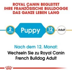 Royal Canin French Bulldog Puppy - Hundefutter -Hundebedarfsgeschäft royal canin french bulldog puppy hondenvoer 138691 0500 none