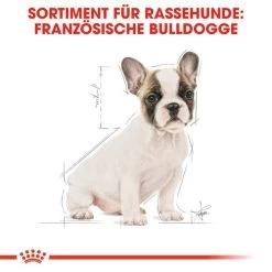 Royal Canin French Bulldog Puppy - Hundefutter -Hundebedarfsgeschäft royal canin french bulldog puppy hondenvoer 138718 0500 none