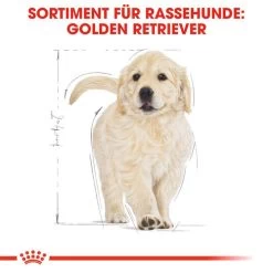 Royal Canin Golden Retriever Puppy - Hundefutter -Hundebedarfsgeschäft royal canin golden retriever puppy hondenvoer 138958 0500 none