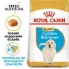 Royal Canin Golden Retriever Puppy - Hundefutter -Hundebedarfsgeschäft royal canin golden retriever puppy hondenvoer 140579 0500 none