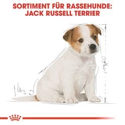 Royal Canin Jack Russell Terrier Puppy - Hundefutter -Hundebedarfsgeschäft royal canin jack russell terrier puppy hondenvoer 139318 0500 none