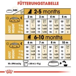 Royal Canin Jack Russell Terrier Puppy - Hundefutter -Hundebedarfsgeschäft royal canin jack russell terrier puppy hondenvoer 139327 0500 none