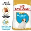 Royal Canin Jack Russell Terrier Puppy - Hundefutter 1 Royal Canin Jack Russell Terrier Puppy - Hundefutter -Hundebedarfsgeschäft royal canin jack russell terrier puppy hondenvoer 140597 0500 none