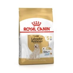 Royal Canin Labrador Retriever Adult 5+ 12 Royal Canin Labrador Retriever Adult 5+ -Hundebedarfsgeschäft royal canin labrador retriever adult 5 161518 0500 none