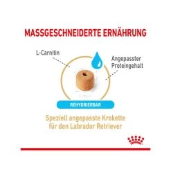 Royal Canin Labrador Retriever Adult 5+ 9 Royal Canin Labrador Retriever Adult 5+ -Hundebedarfsgeschäft royal canin labrador retriever adult 5 165142 0500 none