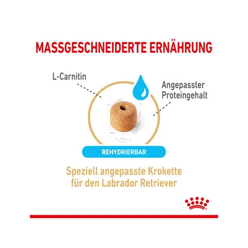 Royal Canin Labrador Retriever Adult 5+ 4 Royal Canin Labrador Retriever Adult 5+ – Bild 2