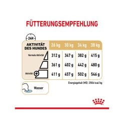 Royal Canin Labrador Retriever Adult 5+ 10 Royal Canin Labrador Retriever Adult 5+ -Hundebedarfsgeschäft royal canin labrador retriever adult 5 165172 0500 none