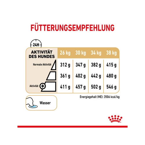 Royal Canin Labrador Retriever Adult 5+ 5 Royal Canin Labrador Retriever Adult 5+ – Bild 3