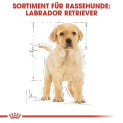 Royal Canin Labrador Retriever Puppy - Hundefutter -Hundebedarfsgeschäft royal canin labrador retriever puppy hondenvoer 139438 0500 none