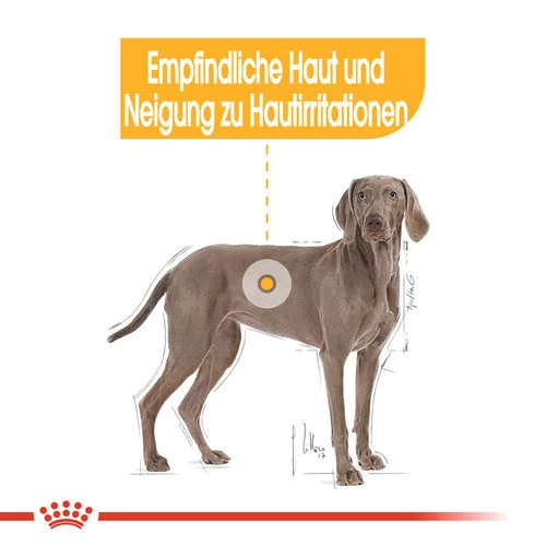Royal Canin Maxi Dermacomfort - Hundefutter 5 Royal Canin Maxi Dermacomfort - Hundefutter – Bild 3