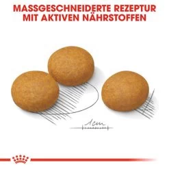 Royal Canin Maxi Dermacomfort - Hundefutter 14 Royal Canin Maxi Dermacomfort - Hundefutter -Hundebedarfsgeschäft royal canin maxi dermacomfort hondenvoer 132440 0500 none