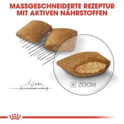 Royal Canin Mini Exigent - Hundefutter -Hundebedarfsgeschäft royal canin mini exigent hondenvoer 133178 0500 none