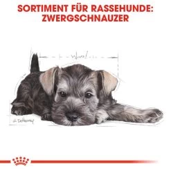 Royal Canin Mini Schnauzer Puppy - Hundefutter -Hundebedarfsgeschäft royal canin mini schnauzer puppy hondenvoer 140182 0500 none
