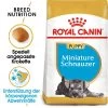Royal Canin Mini Schnauzer Puppy - Hundefutter 2 Royal Canin Mini Schnauzer Puppy - Hundefutter -Hundebedarfsgeschäft royal canin mini schnauzer puppy hondenvoer 140197 0500 none