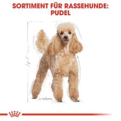 Royal Canin Poodle Adult - Hundefutter -Hundebedarfsgeschäft royal canin poodle adult hondenvoer 139663 0500 none