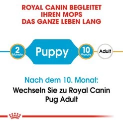 Royal Canin Pug Puppy - Hundefutter -Hundebedarfsgeschäft royal canin pug puppy hondenvoer 139858 0500 none