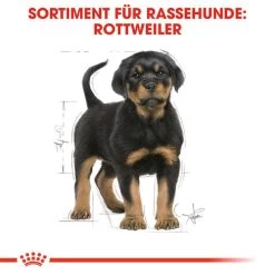 Royal Canin Rottweiler Puppy - Hundefutter -Hundebedarfsgeschäft royal canin rottweiler puppy hondenvoer 140029 0500 none