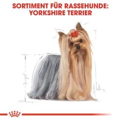 Royal Canin Yorkshire Terrier Adult - Hundefutter 12 Royal Canin Yorkshire Terrier Adult - Hundefutter -Hundebedarfsgeschäft royal canin yorkshire terrier adult hondenvoer 140714 0500 none