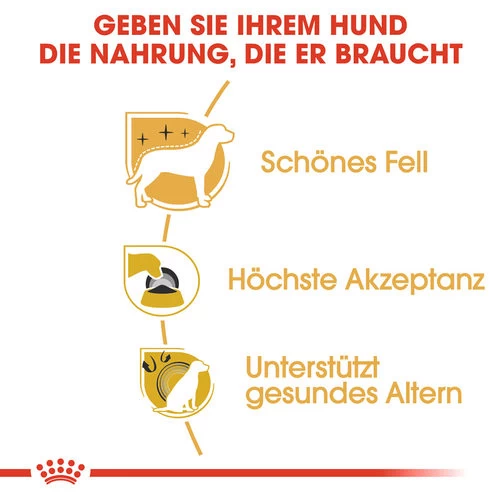 Royal Canin Yorkshire Terrier Adult - Hundefutter 4 Royal Canin Yorkshire Terrier Adult - Hundefutter – Bild 2