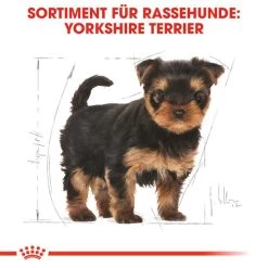 Royal Canin Yorkshire Terrier Puppy - Hundefutter -Hundebedarfsgeschäft royal canin yorkshire terrier puppy hondenvoer 140804 0500 none
