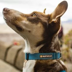 Ruffwear Hi & Light Halsband -Hundebedarfsgeschäft ruffwear hi light collar 194264 0500 none