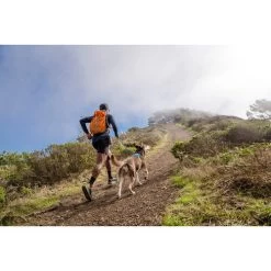 Ruffwear Hi & Light Harness 15 Ruffwear Hi & Light Harness -Hundebedarfsgeschäft ruffwear hi light harness 196016 0500 none