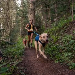 Ruffwear Roamer Leash - Blue Atoll -Hundebedarfsgeschäft ruffwear roamer leash blue atoll 204797 0500 none
