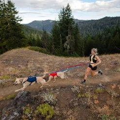 Ruffwear Roamer Leash - Blue Atoll -Hundebedarfsgeschäft ruffwear roamer leash blue atoll 204800 0500 none