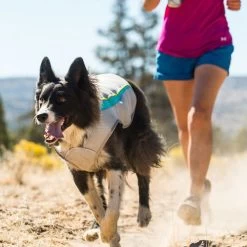 Ruffwear Swamp Cooler -Hundebedarfsgeschäft ruffwear swamp cooler 124703 0500 none