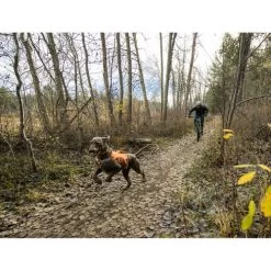 Ruffwear Webmaster Harness -Hundebedarfsgeschäft ruffwear webmaster harness 217113 0500 none