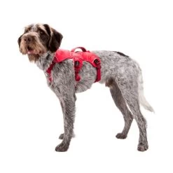 Ruffwear Webmaster Harness -Hundebedarfsgeschäft ruffwear webmaster harness 88447 0500 none