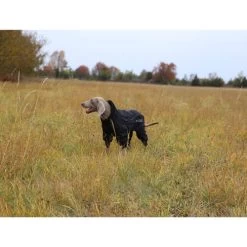 RukkaPets Protect Overall -Hundebedarfsgeschäft rukkapets protect overall zwart 216401 0500 none