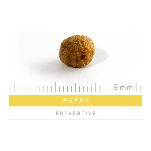 SANIMED Puppy 5 SANIMED Puppy – Bild 3
