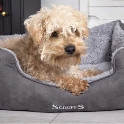 Scruffs Cosy Box Bett -Hundebedarfsgeschäft scruffs cosy box bed 209483 0500 none