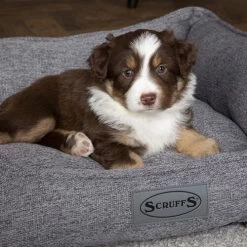 Scruffs Manhattan Box Bett -Hundebedarfsgeschäft scruffs manhattan box bed 209513 0500 none