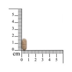 Hundebedarfsgeschäft -Hundebedarfsgeschäft sensipharm omniderma hond 174730 0500 none