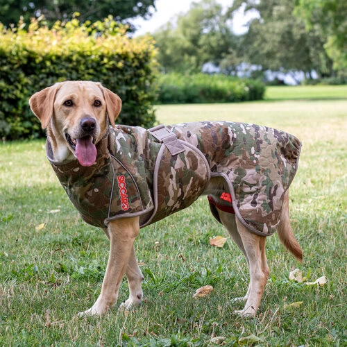 Siccaro Spirit 2.0 4 Siccaro Spirit 2.0 – Bild 2