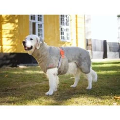 Siccaro WetDog SupremePro 10 Siccaro WetDog SupremePro -Hundebedarfsgeschäft siccaro wetdog supremepro 20 216997 0500 none