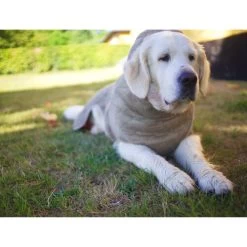 Siccaro WetDog SupremePro 12 Siccaro WetDog SupremePro -Hundebedarfsgeschäft siccaro wetdog supremepro 20 216998 0500 none