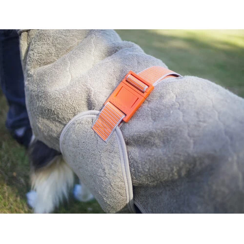 Siccaro WetDog SupremePro 4 Siccaro WetDog SupremePro – Bild 2