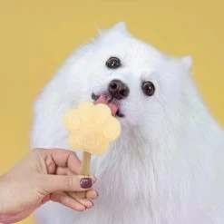 Smoofl Hundeeis Starter Kit -Hundebedarfsgeschäft smoofl dog ice starter kit 195155 0500 none