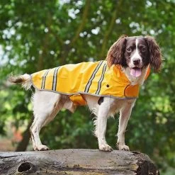 Sötnos Hunderegenmantel -Hundebedarfsgeschäft stnos hondenregenjas 130475 0500 none